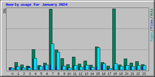 Hourly usage for January 2024