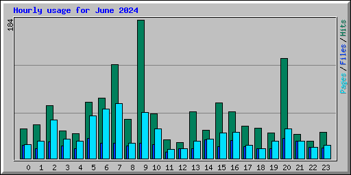 Hourly usage for June 2024